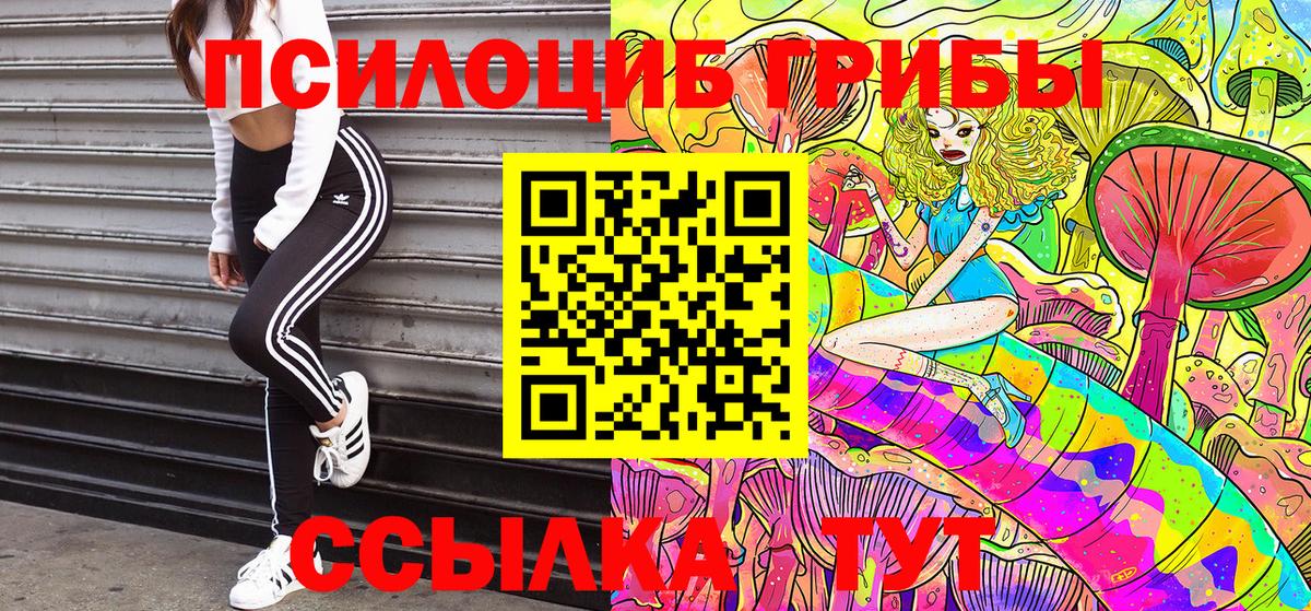 Псилоцибиновые грибы ЛСД Кисловодск