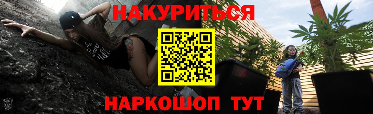 МАРИХУАНА Ganja Кисловодск
